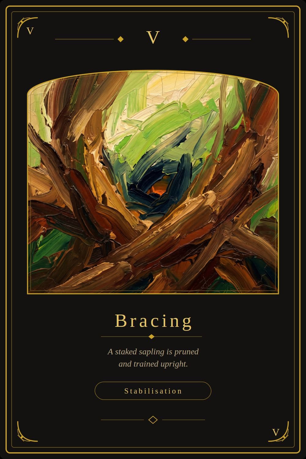 Bracing — The Staked Sapling